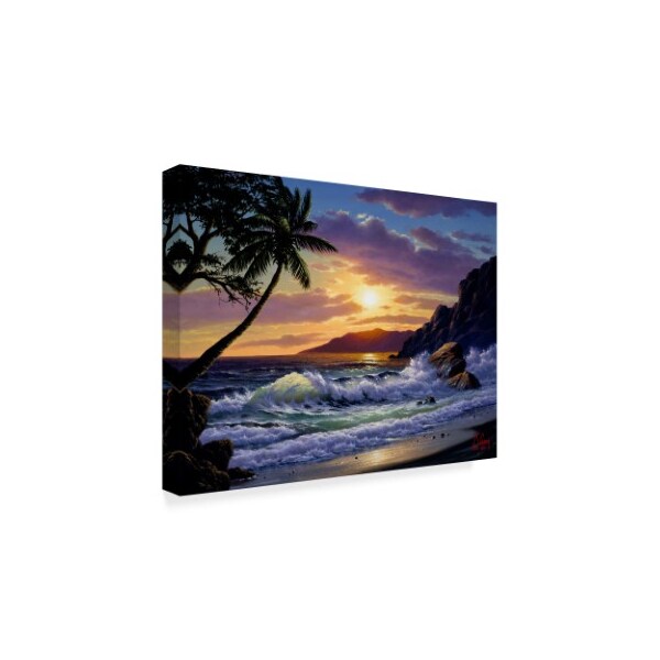 Anthony Casay 'Sunset Coast 1' Canvas Art,18x24
